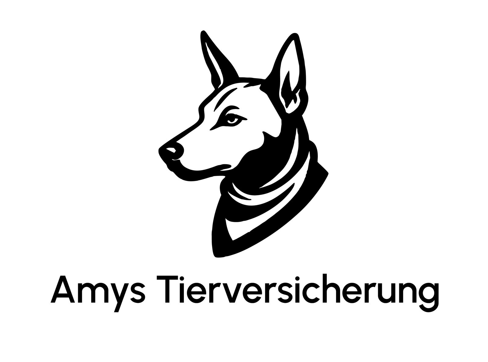 Amy's Tierversicherung